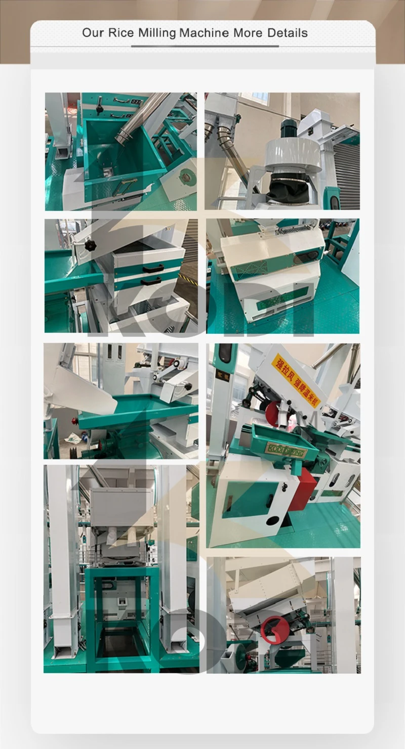 product-800-1481 product-800-1481