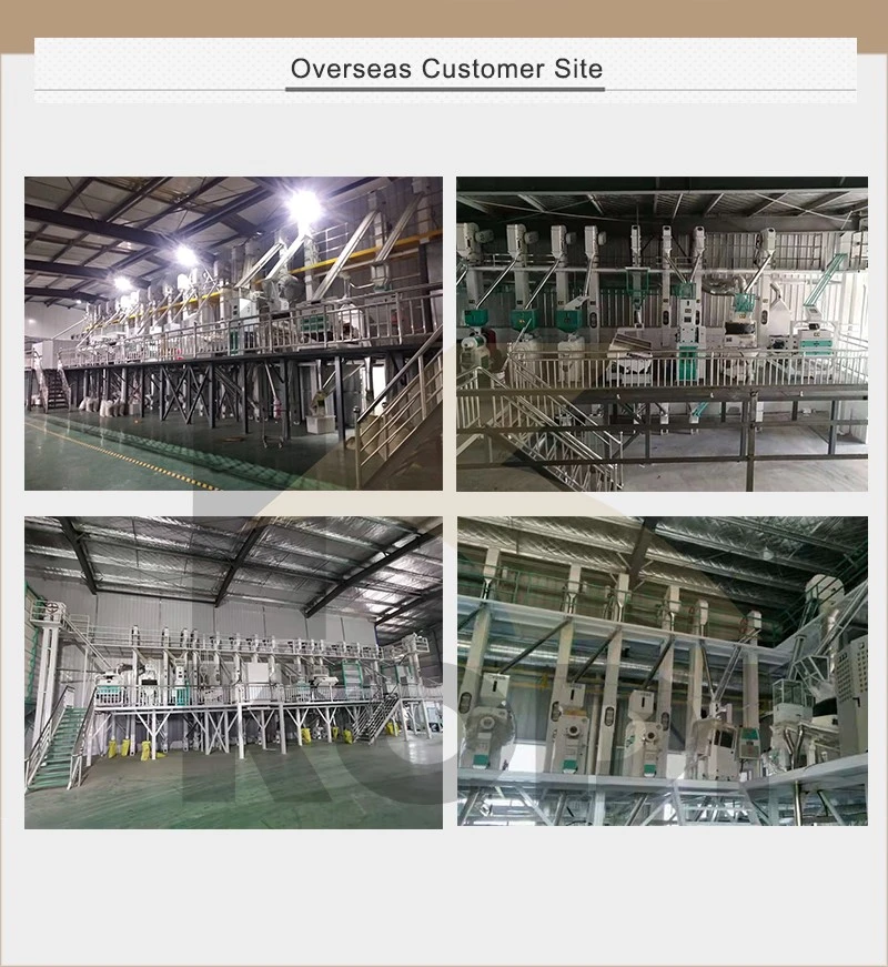 product-800-871 product-800-871