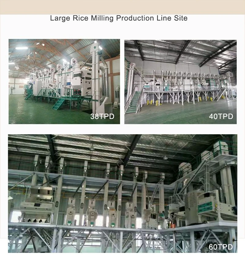 product-800-871 product-800-871